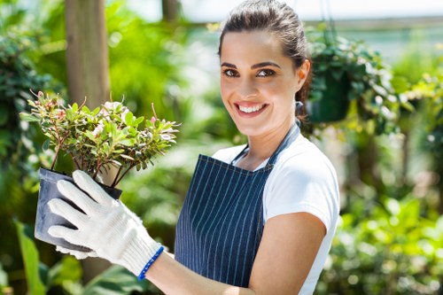 Visual of a gardener trimming a hedge representing Surbiton hedge services