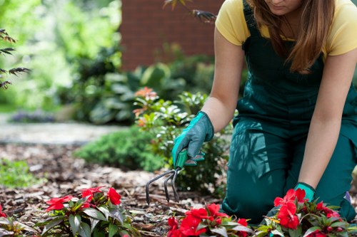 Operator assessing a hedge before cutting with toolbox nearby