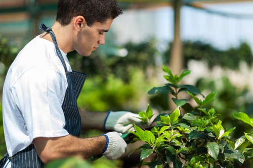 Inspectors reviewing hedge condition during an investigation visit