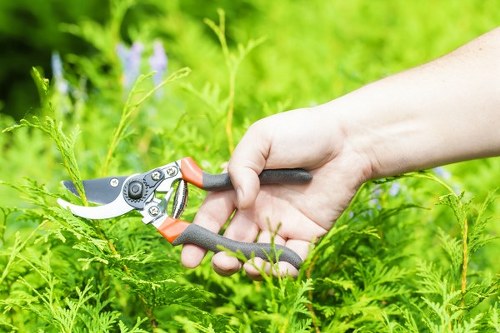 Garden maintenance crew mowing and pruning a small urban garden